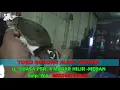 Download Lagu Suara Pkat MP3 Burung Berkik ~ Burung Sihukkung