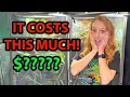 How much does a chameleon cost