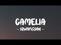 Download Lagu IRWANSYAH - Camelia LIRIK (LyricBy)