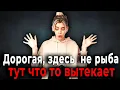 Lagu 1478. Большой микс историй зрителей