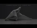 Andrew Bayer feat. Alison May - Open End Resource (In My Next Life Mix)