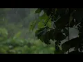 Tinnitus Sound Therapy | Rain Water