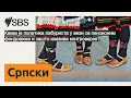 Download Lagu Каква је политика лабуриста у вези са пензионим фондовима и зашто изазива контроверзе? | SBS...