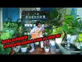 Download Lagu SOLERAM (INDONESIAN FOLK SONG) FINGERSTYLE GUITAR COVER BY NYONG ALGA