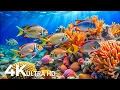 Download Lagu Marvel at Sea Animal in The Best 4K ULTRA HD Aquarium-Dive Into The Mesmerizing Underwater Realm #41
