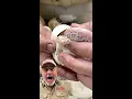 HATCHING A SNAKE WITH NO EYES