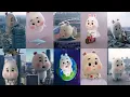 Si Embul Lucu || Si Embul Kelinci Lucu || Super Cute Fat Rabbit