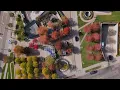 M Health Fairview Masonic Children s Hospital