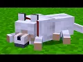 840 Minecraft Things You Didn t Know