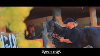 حـصريا 2025 شيلة العز ساسي كلمات و الحان عبد المعطي إعداد وإشراف ستوديو لمسات جديد وحصري 