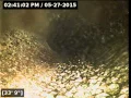 Sewer Inspection - 3011 W Garfield St