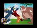 Download Lagu Tom \u0026 Jerry | Best Buddies 🐭🐱🐶 | Classic Cartoon Compilation | WB Kids