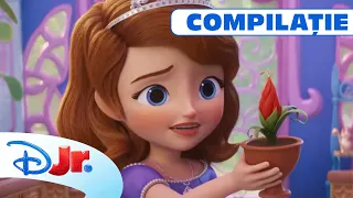 ✨Lecții de magie | Sofia Întâi: Magie Regală [COMPILAȚIE] | Disney Junior România