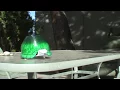 My First Robot Turtle