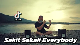 Download SAKIT SEKALI EVERYBODY x STEREO LOVE SLOW REMIX (DJ Desa) MP3