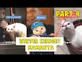 Lagu KOMPILASI TIKTOK WINTER FAMILY PART #4
