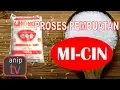 Download Lagu PROSES PEMBUATAN MICIN (MSG)