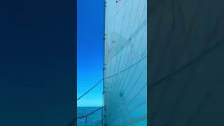 Different Boat, Same Ocean