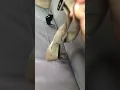 Durafit bench seat cover Ford
