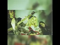 Lithium 1990 Smart Sessions
