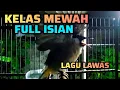 KUTILANG GACOR KELAS MEWAH FULL ISIAN LAGU LAWAS PALING ENAK DIDENGAR