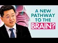 Tx360 and Intranasal Drug Delivery What Providers Should Know Dr Tian Xia
