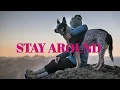 Download Lagu Stay Around - Mike Floss