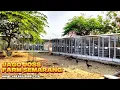 Download Lagu Riview 4y4m P4Koy Usi4 5 Bul4n Up Di Jago Joss Farm Semarang