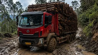 Extreme Logging Truck vs. Deep Mud | Hauling a Massive Load of Timber Off-Road