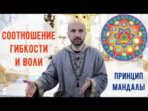 соотношение гибкости и воли image