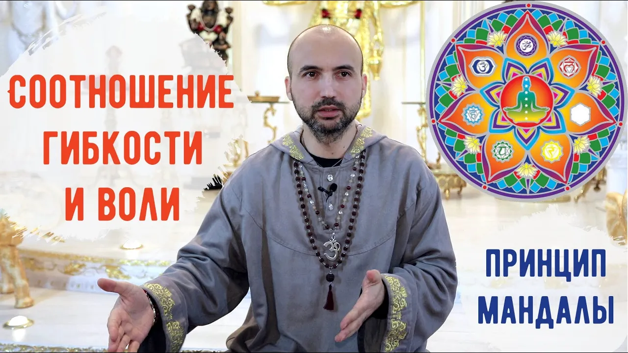 course соотношение гибкости и воли image