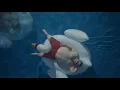 Start Making Memories with Namco Pools