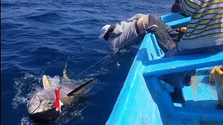 Yellowfin Tuna Fish Catching Skills In Indian Ocean Handline Fish Amazing Fishing PART 1