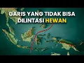 Download Lagu Garis Biogeografis Paling Aneh di Dunia Ada di Indonesia