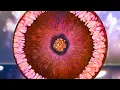 Download Lagu #330 Another Super Nova Effect inspired by Petra Jongbloed 