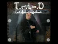 Download Lagu T.R.I.A.D - Cinta Gila (Official Audio)