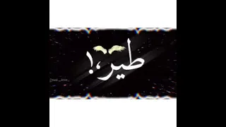 حالات واتس انا عشت قبلك طير حزين  حسن شاكوش   دندنها