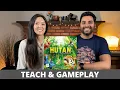 Download Lagu HUTAN: Life in the Rainforest - Teach \u0026 Playthrough