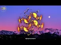 Shing - Kapitani ft. Toxic Lyrikali (Official Lyric Video)