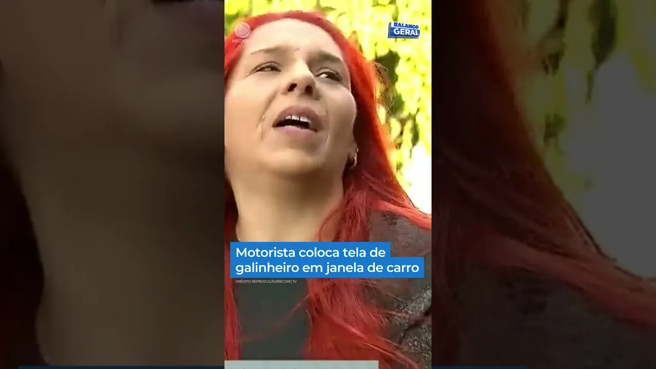 Uma mulher colocou tela de galinheiro na janela do carro #Shorts