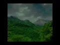 Cover of Grapevine by Lane 8 feat. Elderbrook (Recreated version “21 miles to the Hillside”✅)