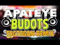 NEW APATEYE BUDOTS DISCO NONSTOP MiX 2025