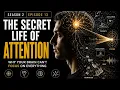 The Secret Life of Attention Why Your Brain Can t Focus on Everything