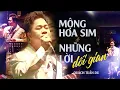 Download Lagu Liên khúc MỘNG HOA SIM x NHỮNG LỜI DỐI GIAN - QUÁCH TUẤN DU | Bản Phối Live Band