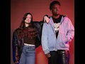 Chambre d'écho - Raccoon & Emilie Buist