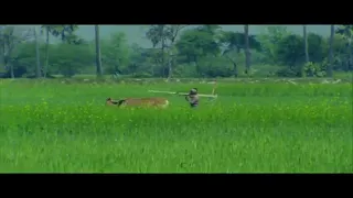 bahaki bahela purwaiya udit narayan song lovely song