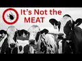Alpha gal Syndrome It s Not a Meat Allergy It s an Immune System Warning