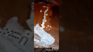 افضل لاعبين دومينو في الجزائر اشترك في القناة  افضل لاعبين دومينو في الجزائر اشترك في القناة