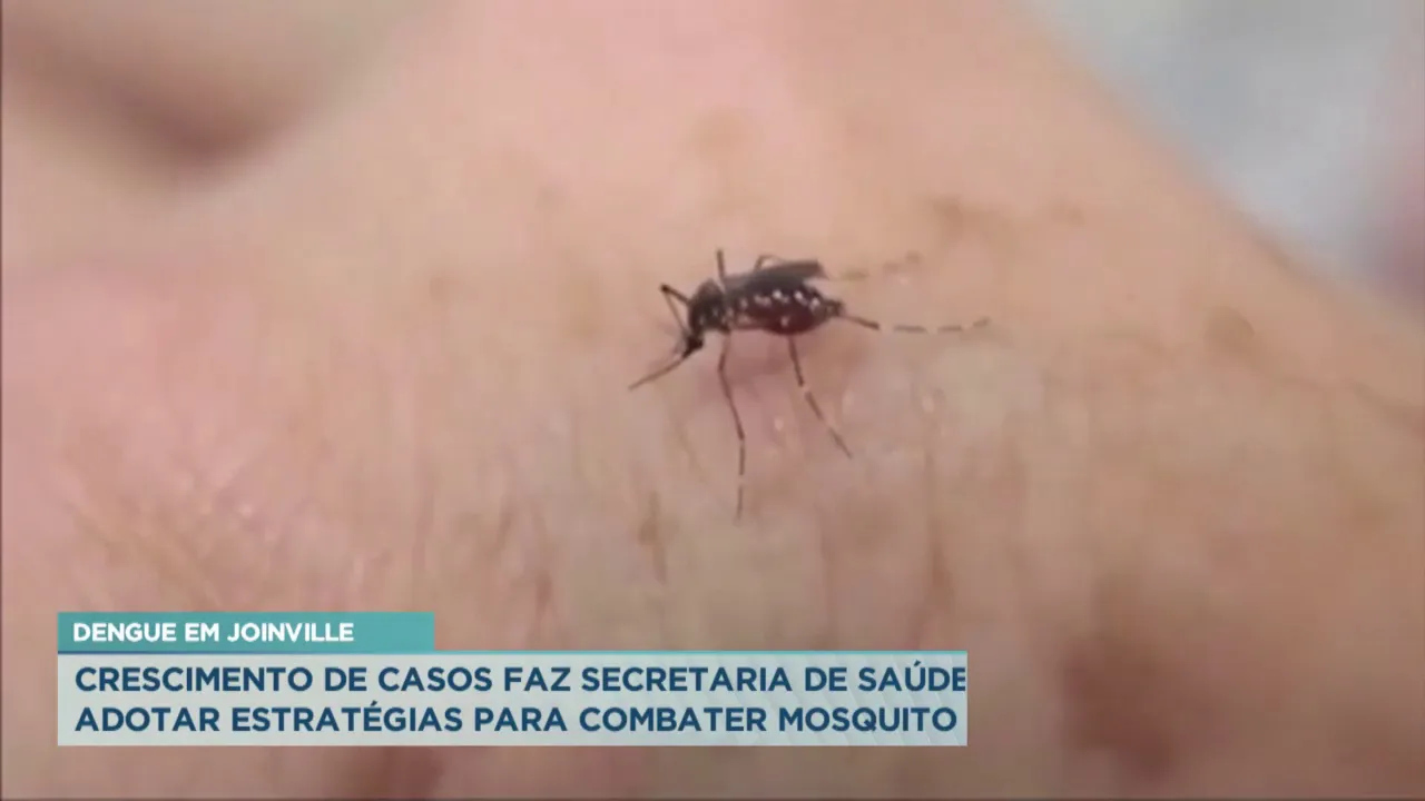 Dengue em Joinville: Crescimento de casos faz secretaria de saúde adotar estratégias no combate