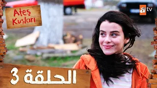 طيور النار Ateş Kuşları الحلقة 3 